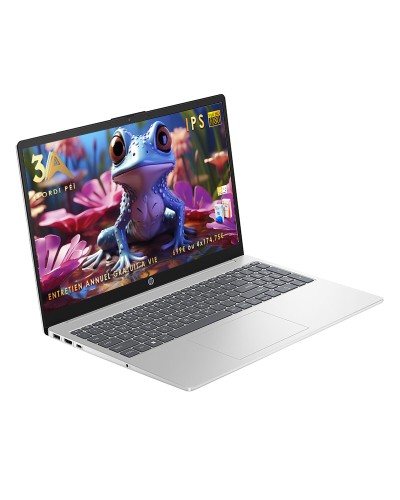 HP Laptop 15 Ryzen 5 IPS